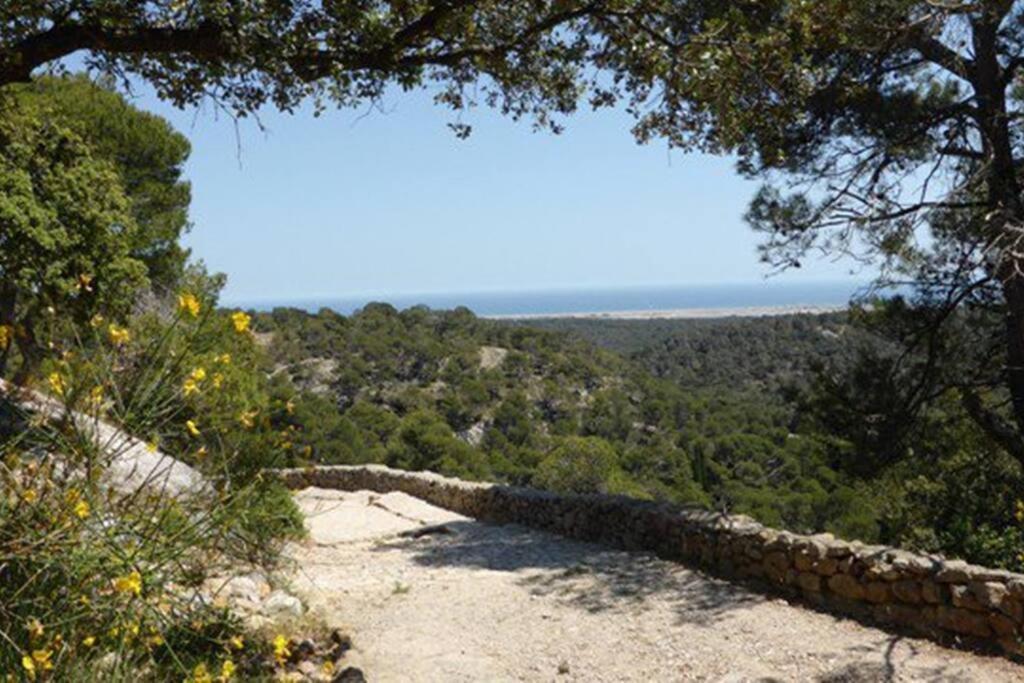 Entre Mer Et Garrigue Saint-Pierre-la-Mer  Extérieur photo