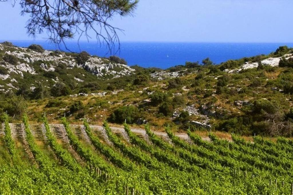 Entre Mer Et Garrigue Saint-Pierre-la-Mer  Extérieur photo
